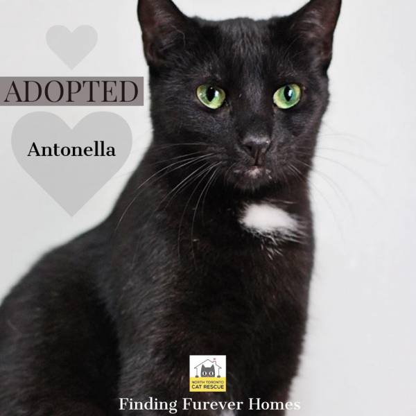 Antonella-Adopted-on-August-1-2019-with-Magdalena
