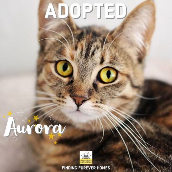 Aurora-Adopted-on-July-28-2019