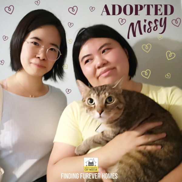 Missy-Adopted-on-July-22-2019