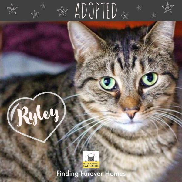 Ryley-Adopted-on-May-23-2019