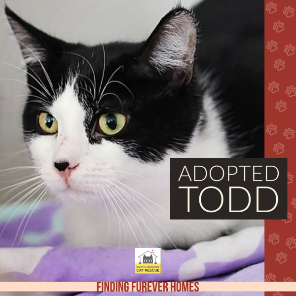 Todd-Adopted-on-May-25-2019
