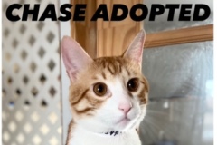 145-Chase (adopted in 2020)