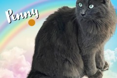 03-Penny-Adopted-in-2023