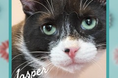 19-Jasper-Adopted-in-2023