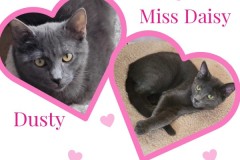 22-23-Dusty-and-Daisy-Adopted-in-2023