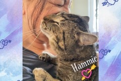28-Hammie-Adopted-in-2023