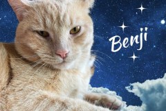 40-Benji-Adopted-in-2023