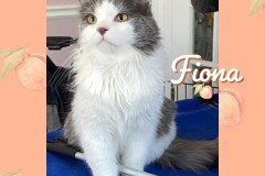 41-Fiona-Adopted-in-2023
