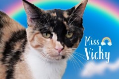 42-Miss-Vicky-Adopted-in-2023