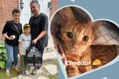 61-Cheddar-Adopted-in-2023