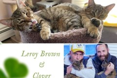 67-68-Leroy-and-Clover-Adopted-in-2023