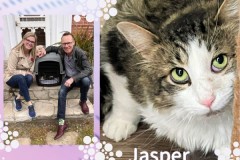 73-Jasper-Brandi-Ryan-Adopted-in-2023