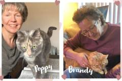 79-80-Brandy-and-Poppy-AD-Adopted-in-2023