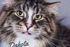 84-Dakota-AD-Adopted-in-2023