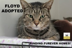 51-52-Floyd-Adopted-in-2021
