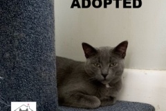 57-58-Stoney-Adopted-in-2021