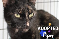 57-Piper (adopted in 2020)
