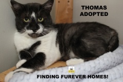 63-64-65-Thomas-Adopted-in-2021
