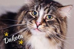 Dakota-Adopted-on-January-11-2020