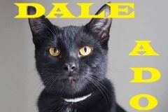 Dale - Adopted - February 11, 2018 - with Raven