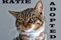 Katie - Adopted on February 23, 2019 with Drake