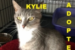 Kylie - Adopted - July 8, 2018