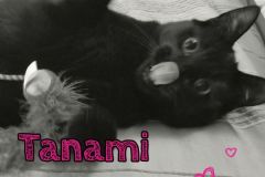 Tanami-Adopted-on-September-20-2019