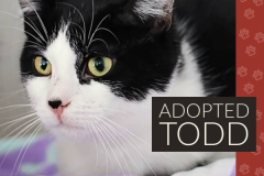 Todd-Adopted-on-May-25-2019