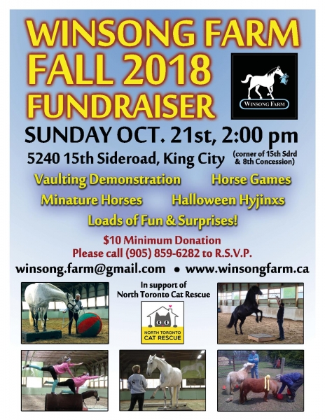 Fall Fundraiser Flyer