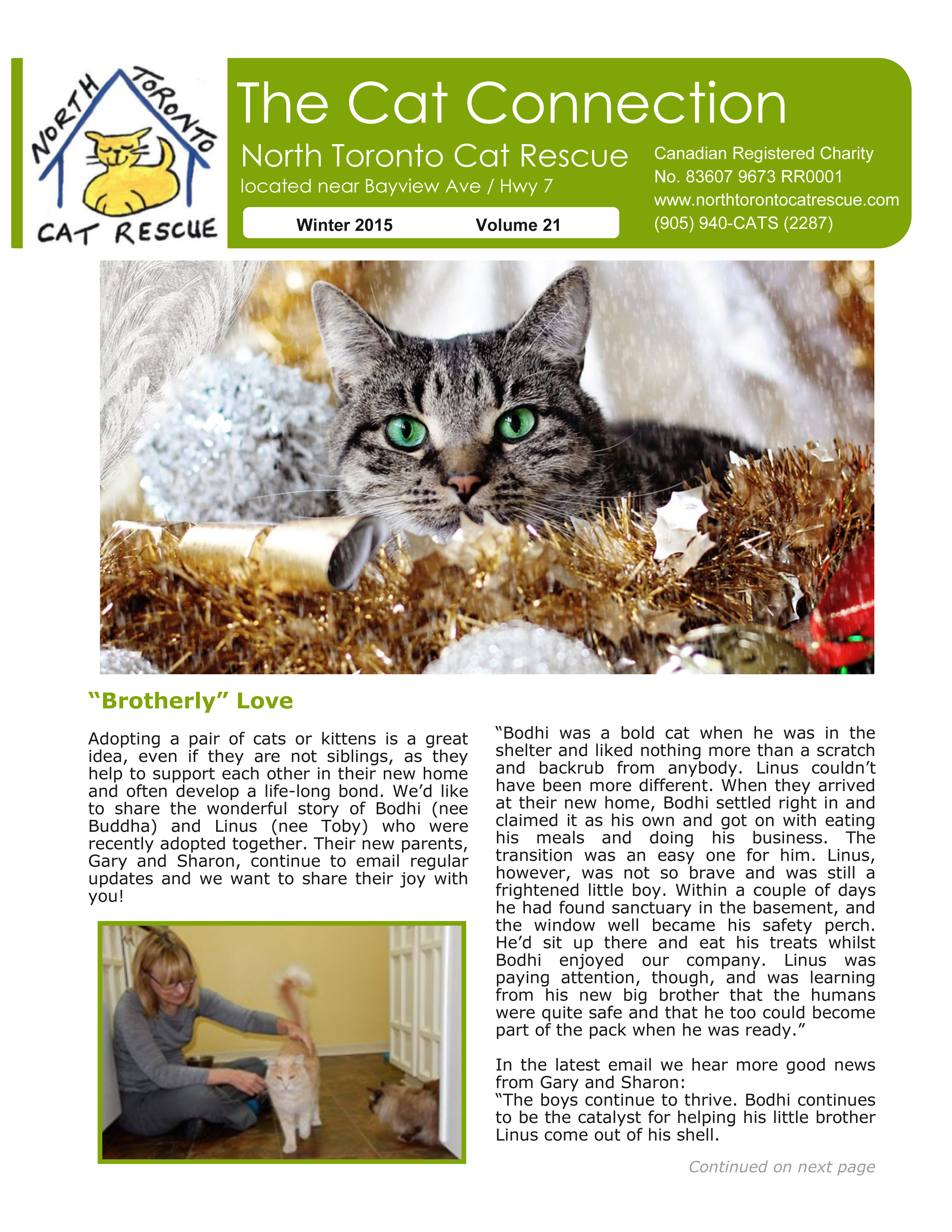 NTCR newsletter winter 2015 - Page1