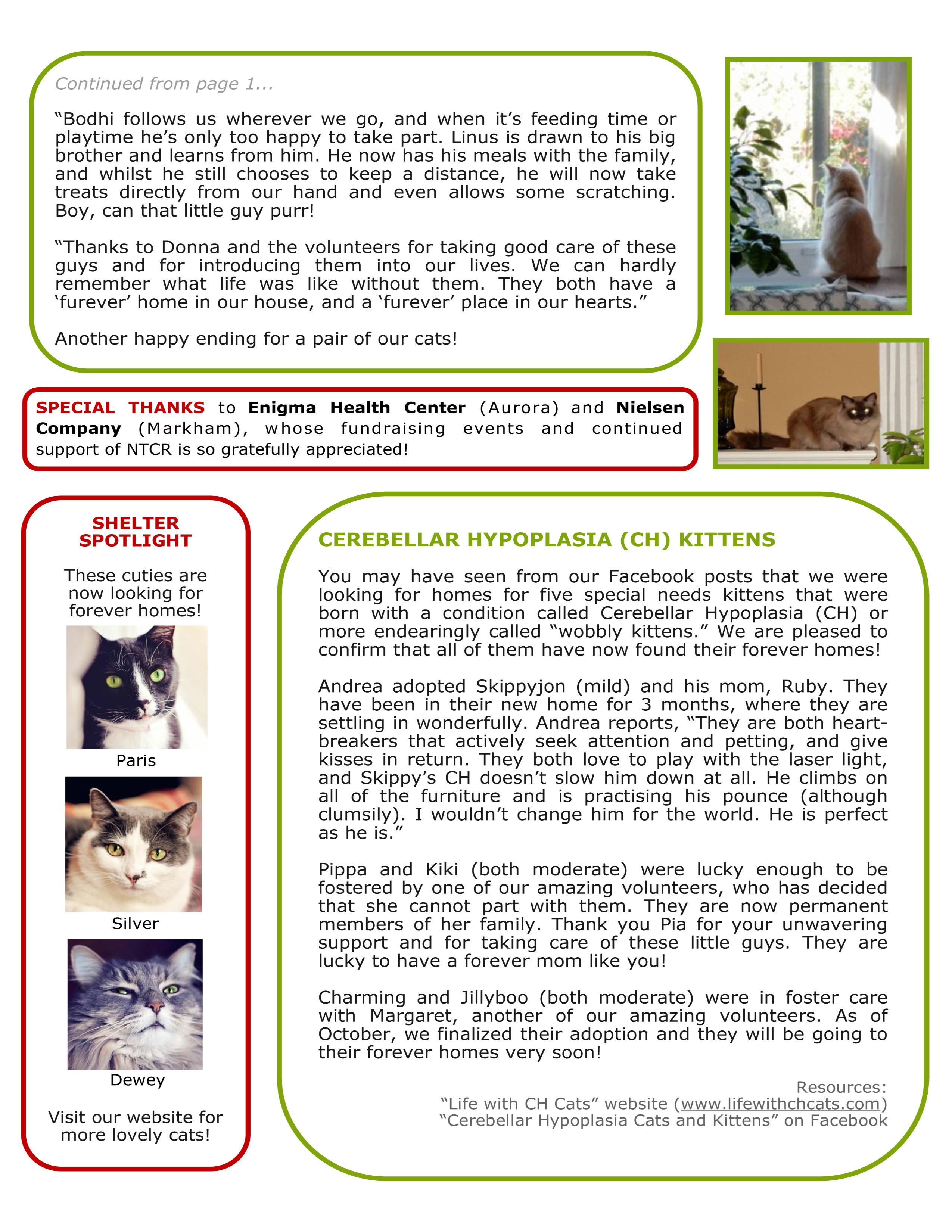 NTCR newsletter winter 2015 - Page2