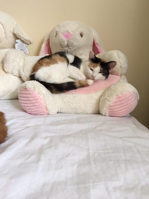 Jasmine in her day bed