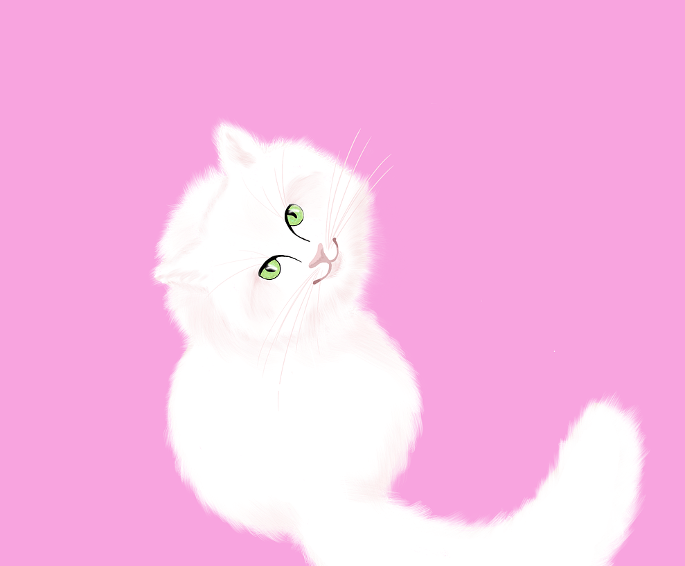 white-cat-4231621_1280.png