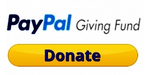 PayPal Giving Fund