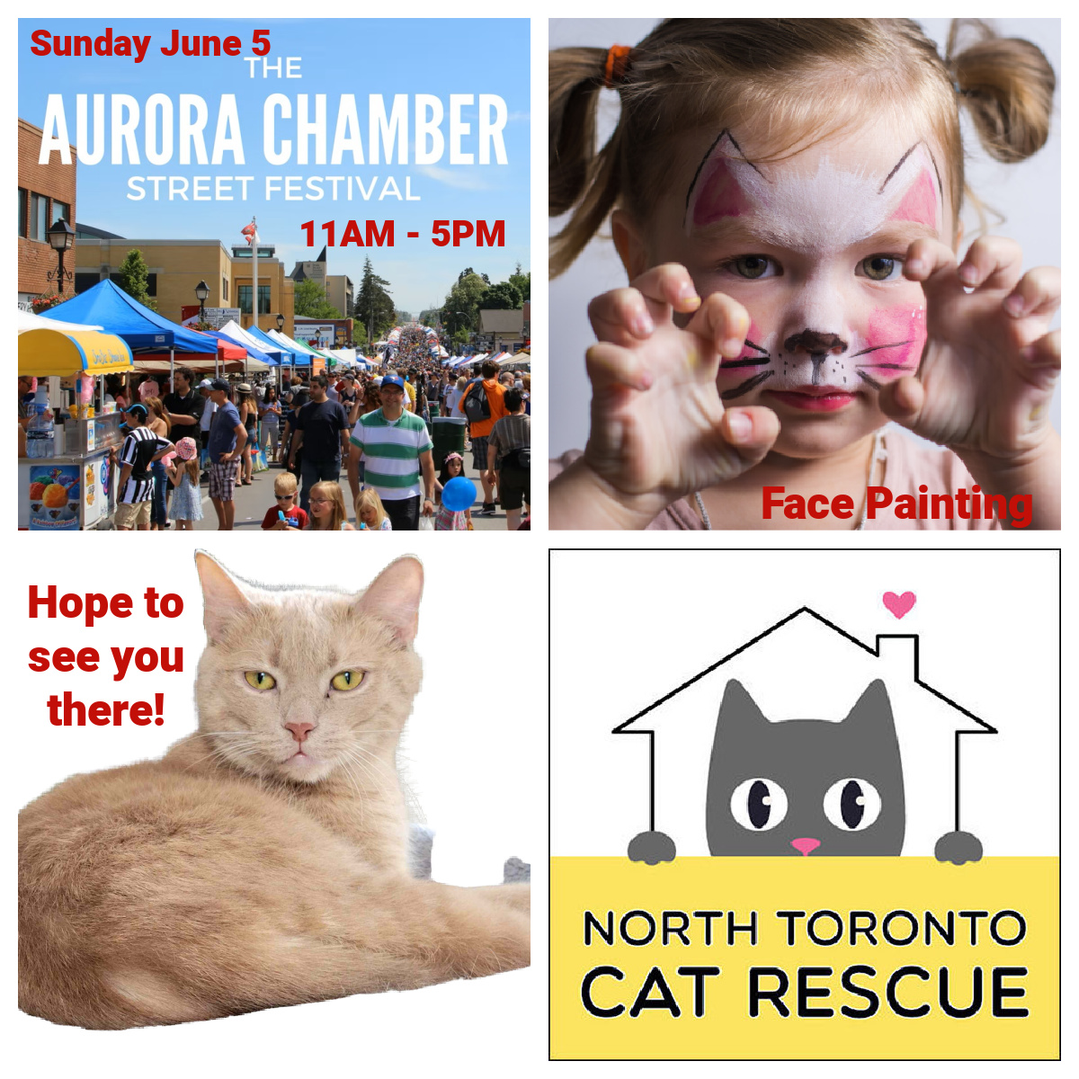 Aurora Street Festival 2022 North Toronto Cat Rescue
